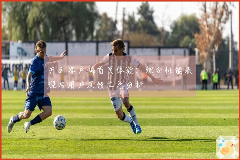 开云客户端首页体验：综合性能表现与用户反馈汇总分析